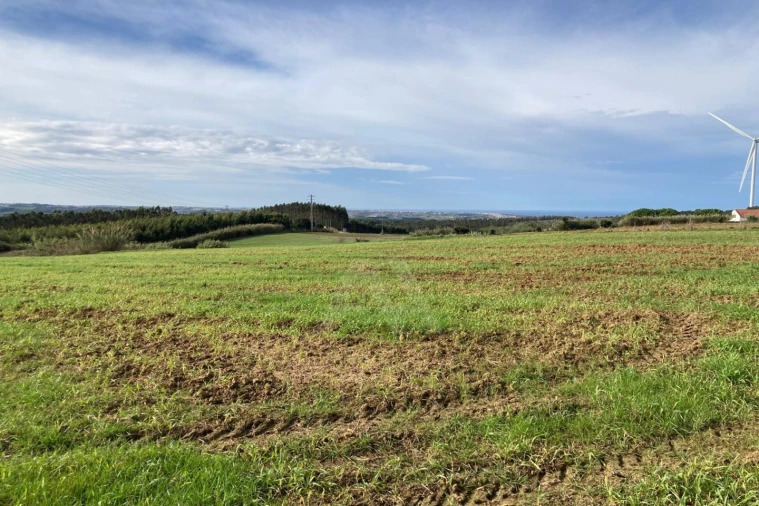 Terreno Agricola ou Rústico para Venda em São Bartolomeu dos Galegos e Moledo