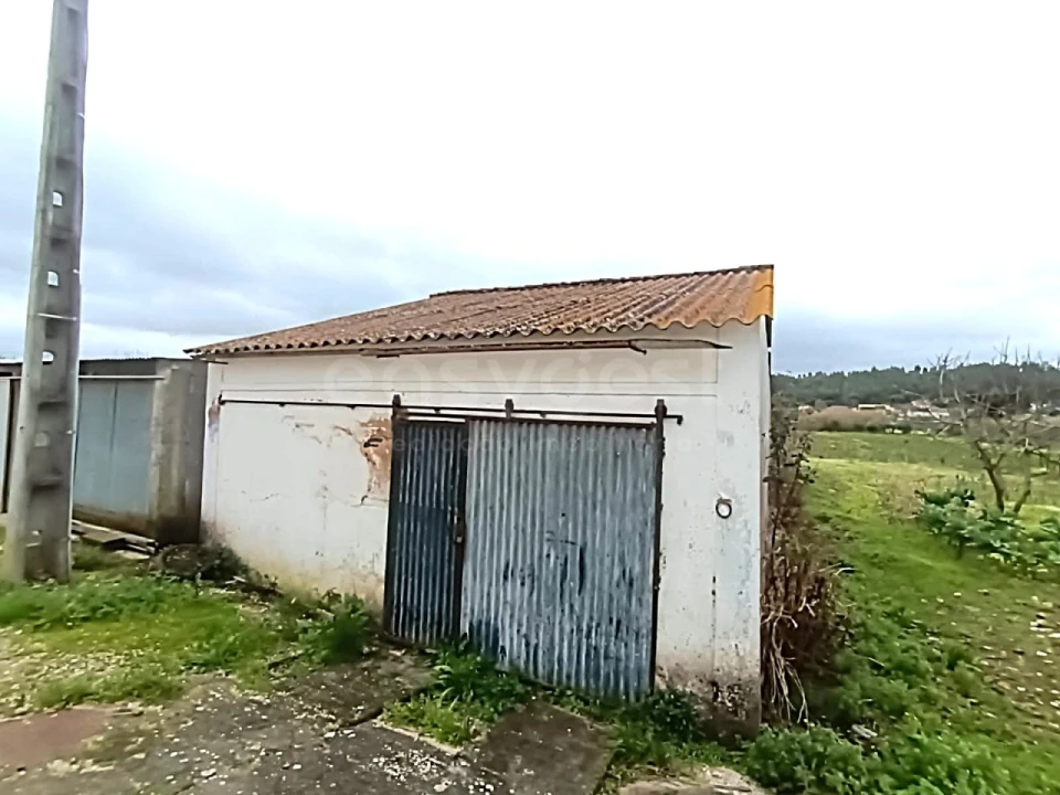 Moradia T3 para Venda em São Miguel do Rio Torto e Rossio Ao Sul do Tejo Foto 3