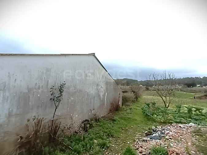 Moradia T3 para Venda em São Miguel do Rio Torto e Rossio Ao Sul do Tejo Foto 2