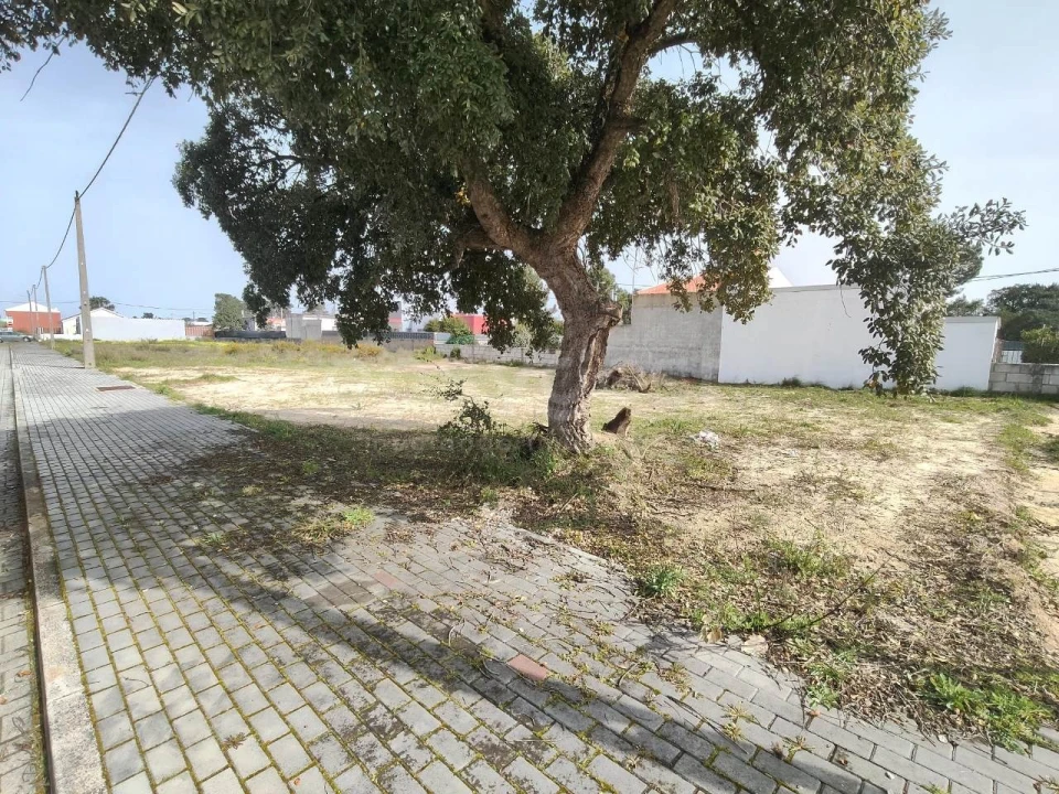 Terreno para Venda em Quinta do Anjo Foto 2