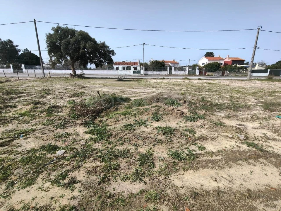 Terreno para Venda em Quinta do Anjo Foto 7