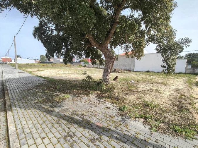 Terreno para Venda em Quinta do Anjo Foto 2