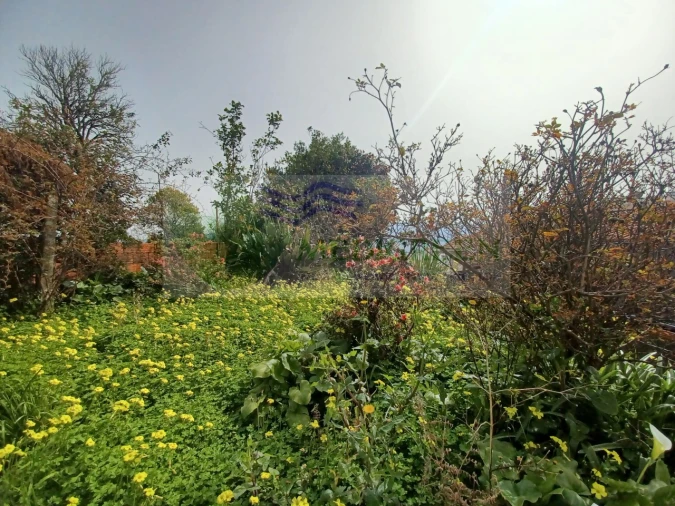 Moradia T4 para Venda em Sever do Vouga Foto 20