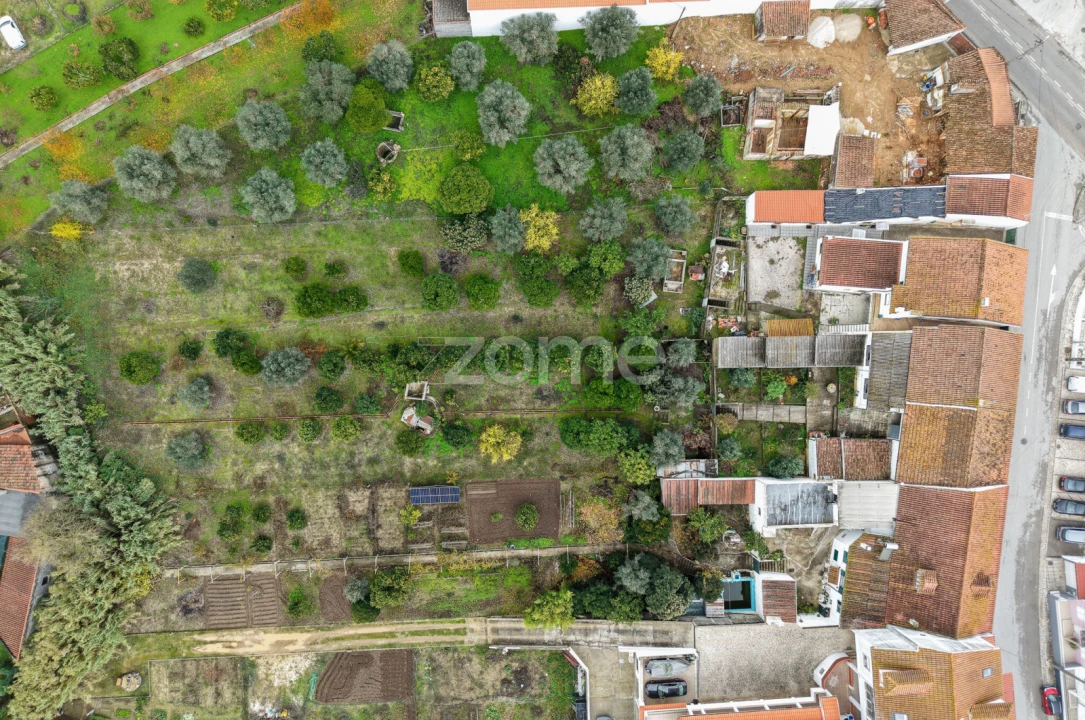 Moradia T4 para Venda em Riachos Foto 33