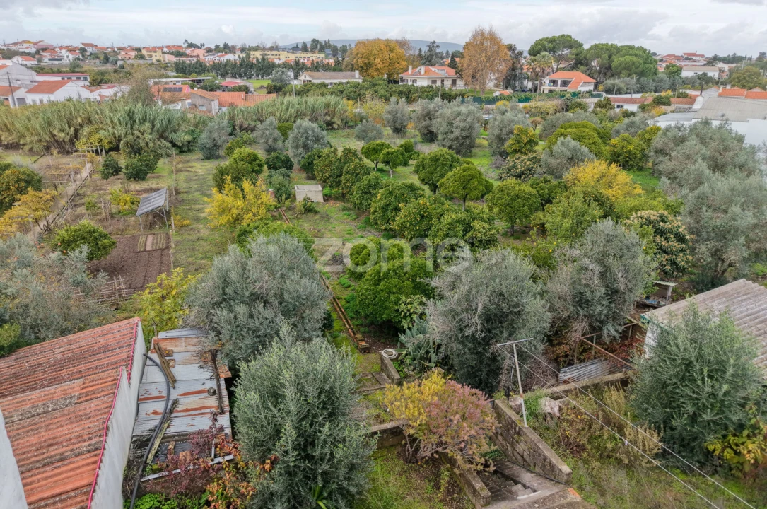 Moradia T4 para Venda em Riachos Foto 29