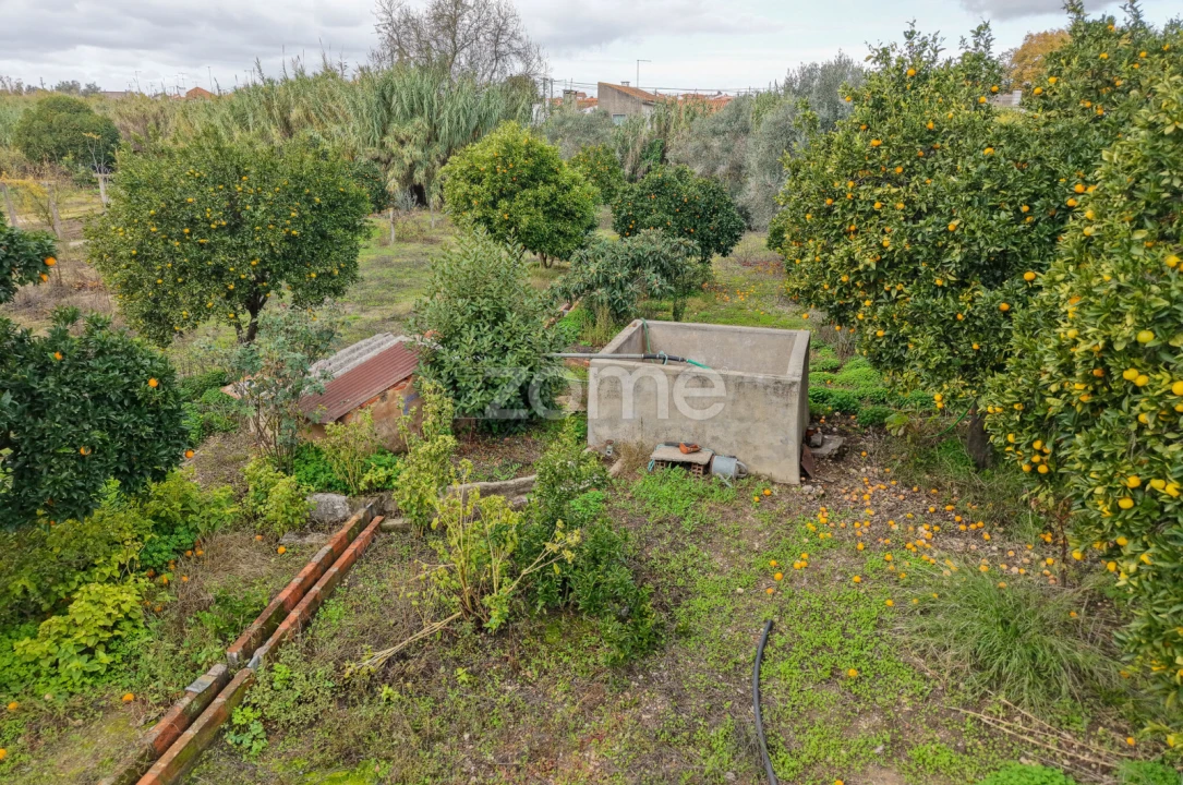 Moradia T4 para Venda em Riachos Foto 27