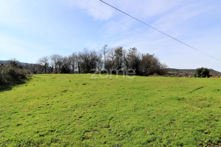 Terreno para Venda em Aboim da Nóbrega e Gondomar Foto 2