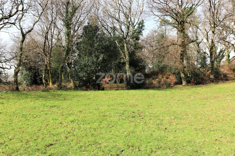 Terreno para Venda em Aboim da Nóbrega e Gondomar Foto 8