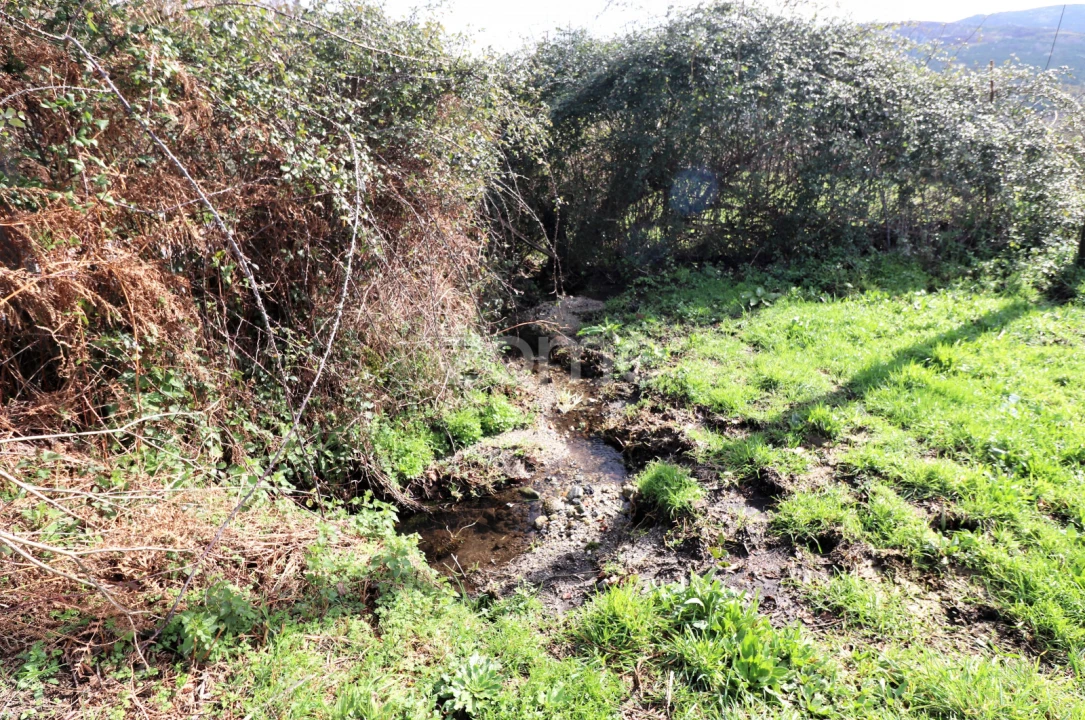 Terreno para Venda em Aboim da Nóbrega e Gondomar Foto 3