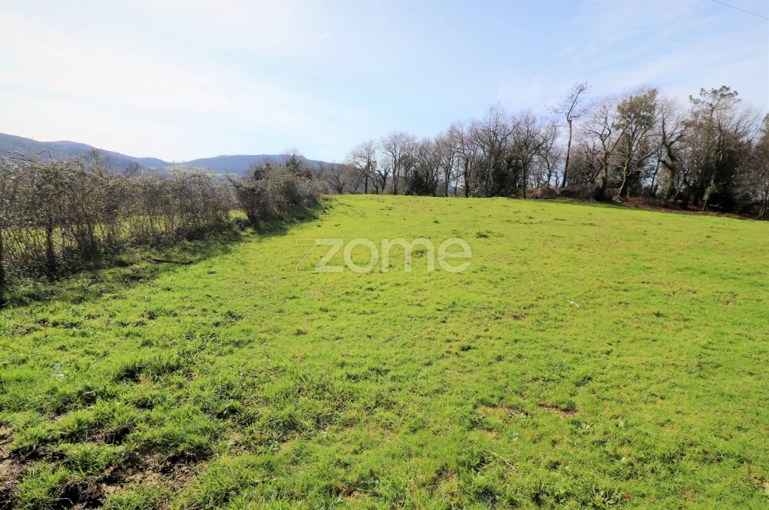 Terreno para Venda em Aboim da Nóbrega e Gondomar Foto 1