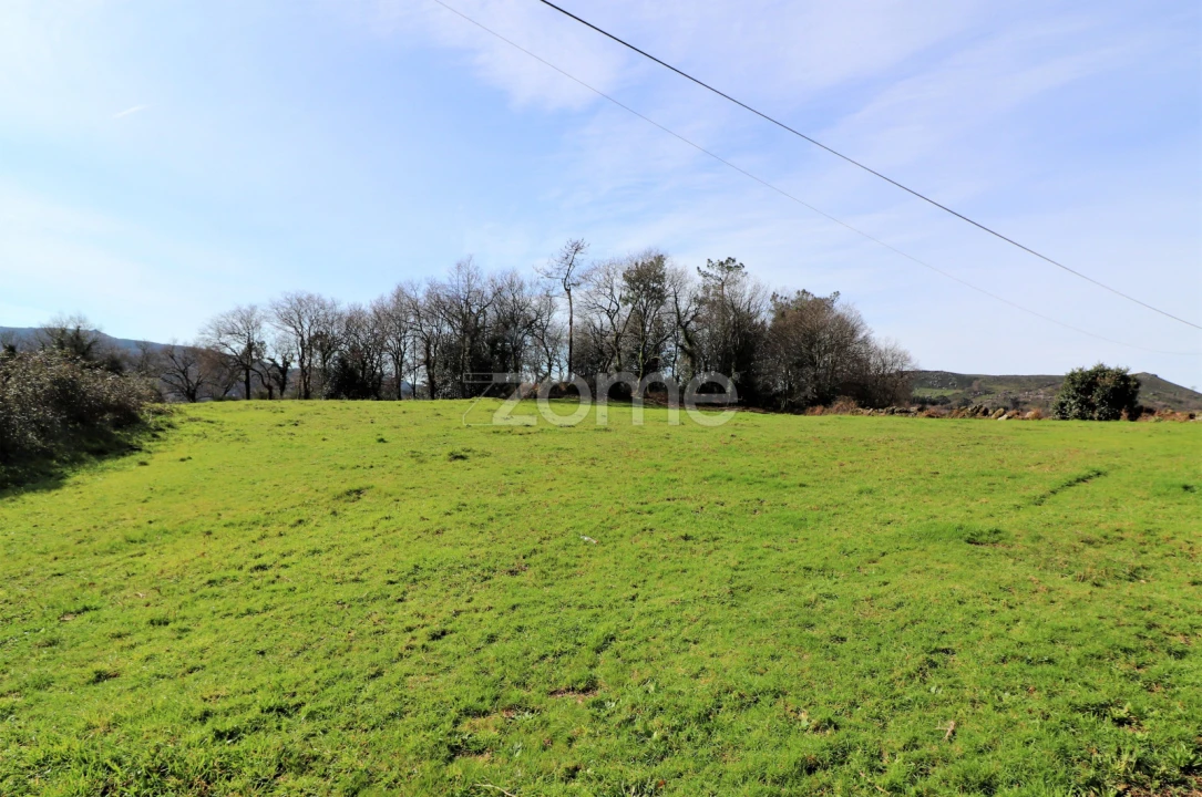 Terreno para Venda em Aboim da Nóbrega e Gondomar Foto 2