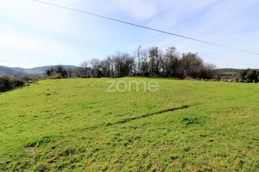 Terreno para Venda em Aboim da Nóbrega e Gondomar Foto 5