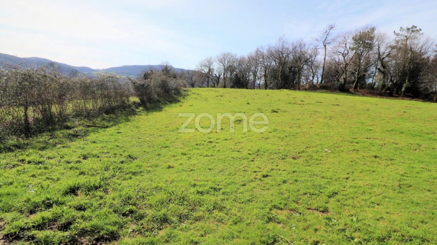 Terreno para Venda em Aboim da Nóbrega e Gondomar