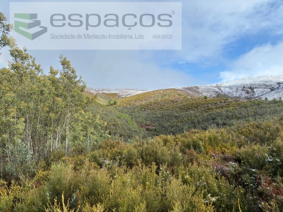 Terreno Agricola ou Rústico para Venda em Lavacolhos Foto 4