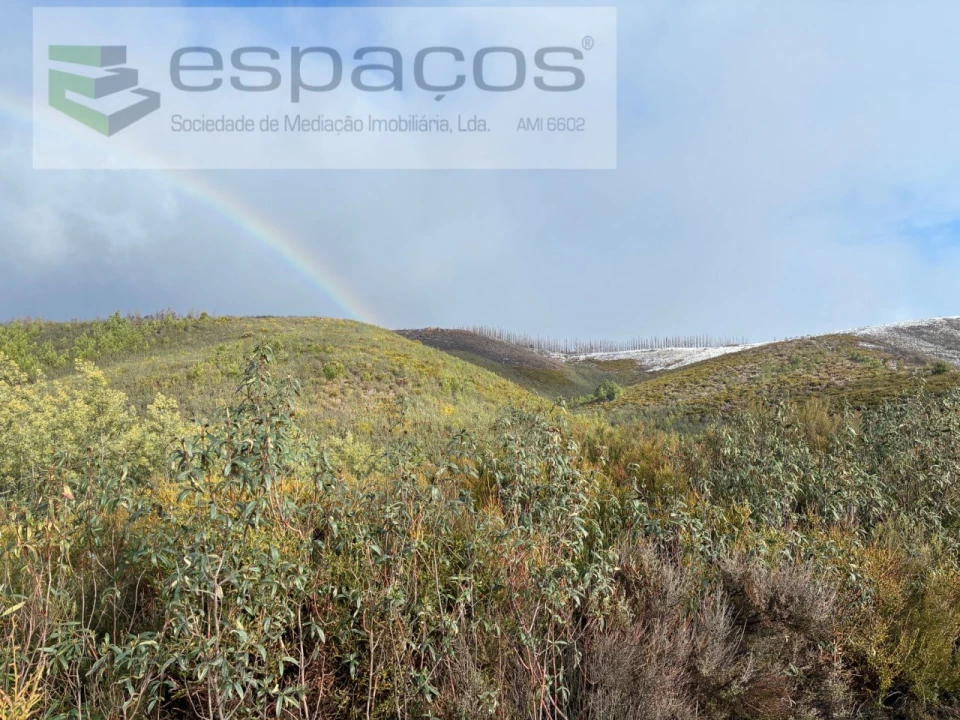 Terreno Agricola ou Rústico para Venda em Lavacolhos Foto 1