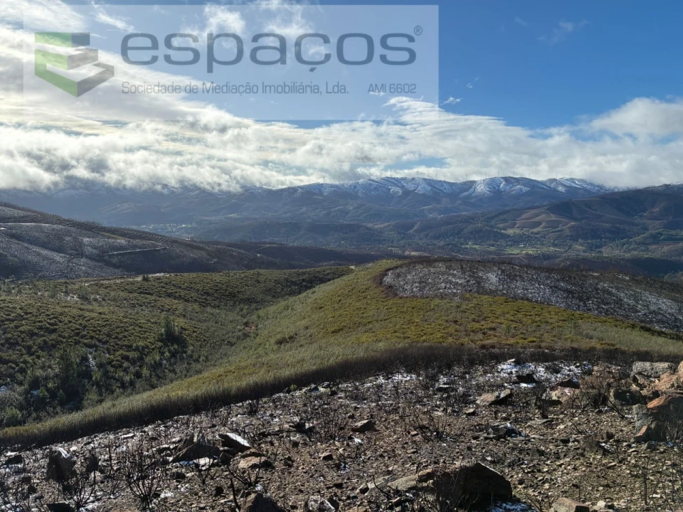 Terreno Agricola ou Rústico para Venda em Lavacolhos Foto 17
