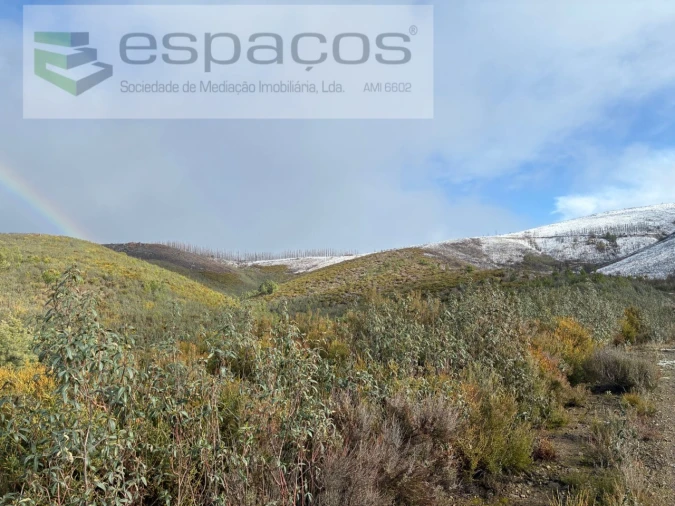 Terreno Agricola ou Rústico para Venda em Lavacolhos Foto 3