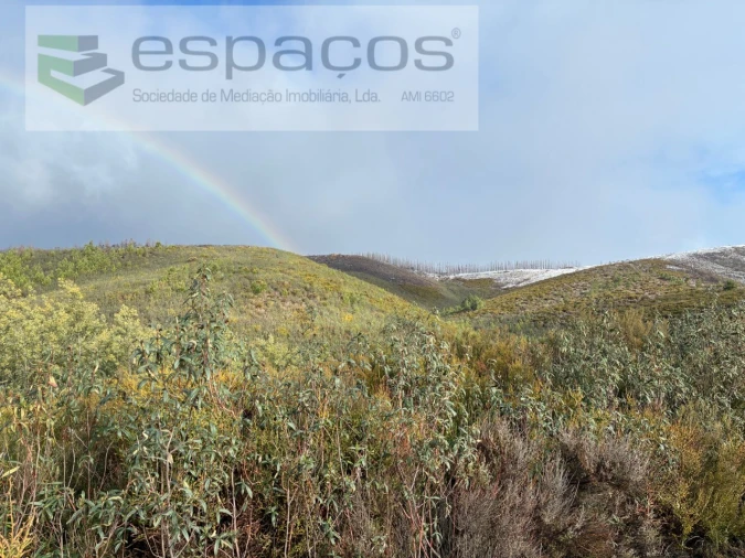 Terreno Agricola ou Rústico para Venda em Lavacolhos Foto 1