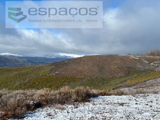 Terreno Agricola ou Rústico para Venda em Lavacolhos Foto 6