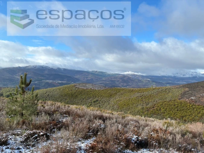 Terreno Agricola ou Rústico para Venda em Lavacolhos Foto 10