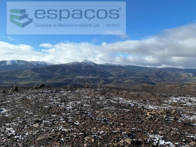 Terreno Agricola ou Rústico para Venda em Lavacolhos Foto 19