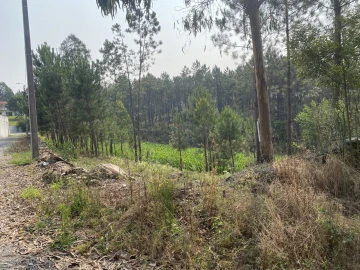Terreno para Venda em Ribeirão