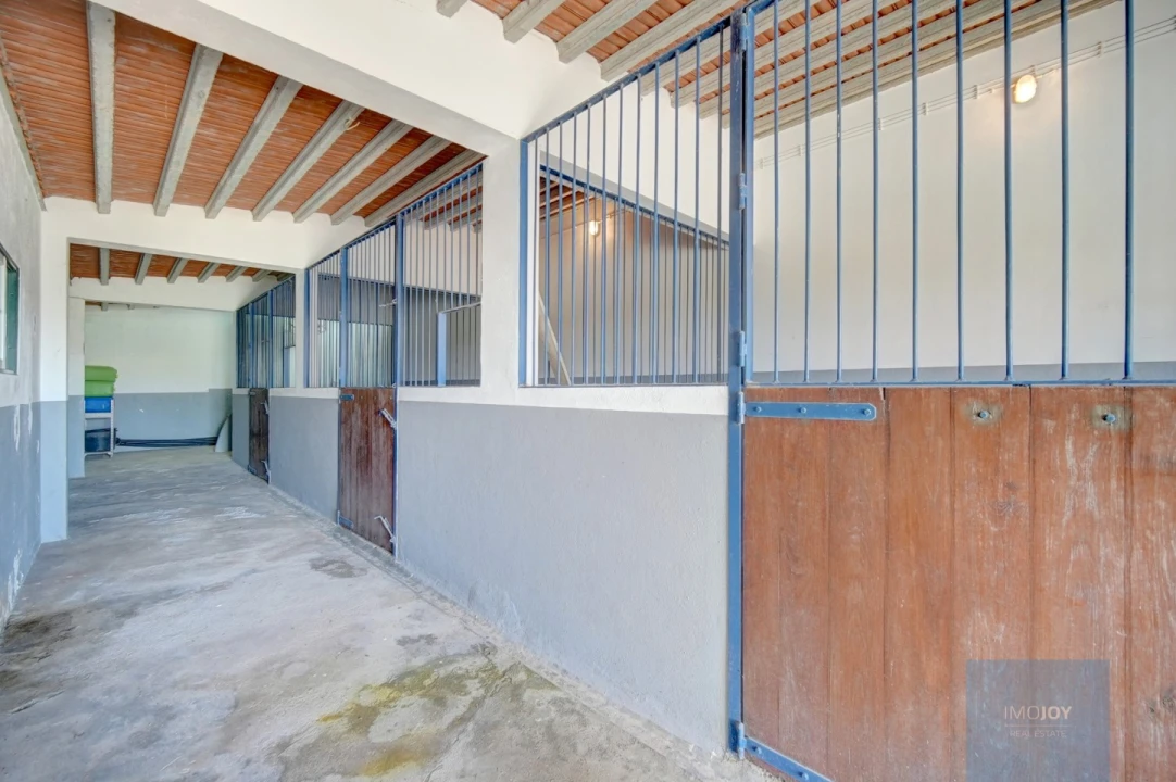 Quinta T4 para Venda em Coruche, Fajarda e Erra Foto 34