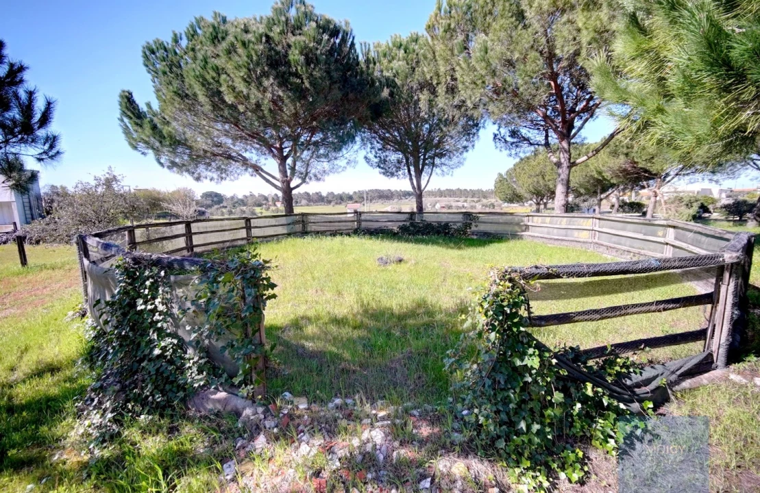 Quinta T4 para Venda em Coruche, Fajarda e Erra Foto 38