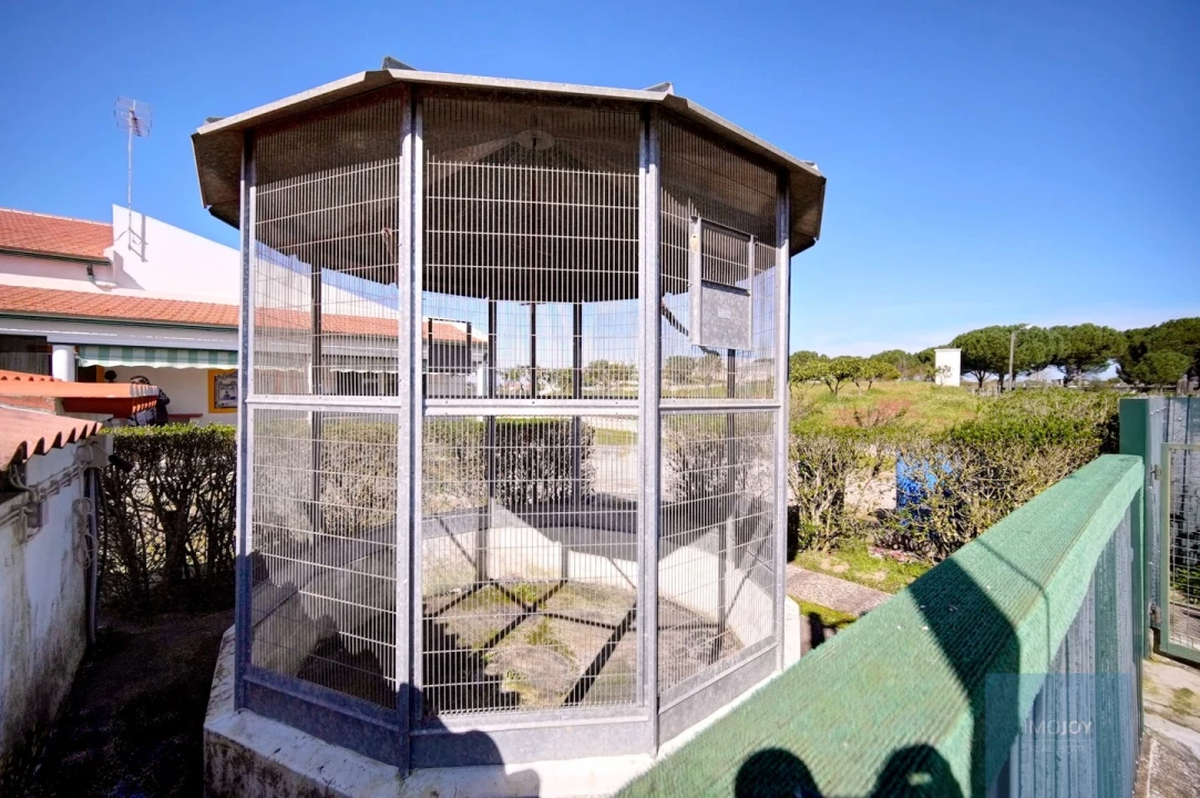 Quinta T4 para Venda em Coruche, Fajarda e Erra Foto 39