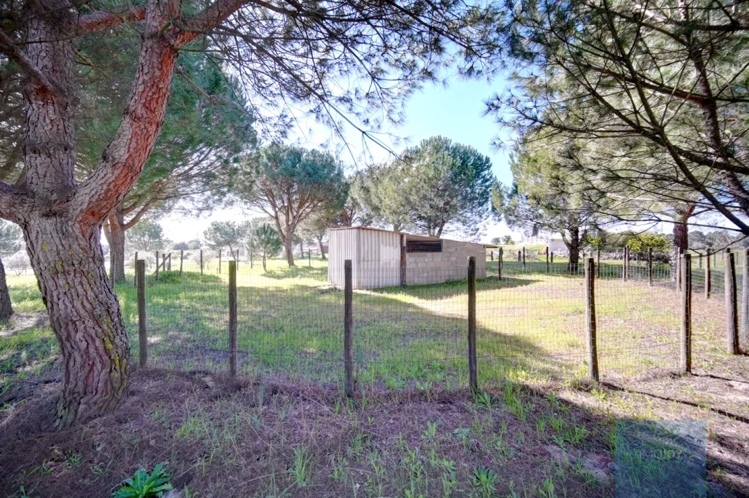 Quinta T4 para Venda em Coruche, Fajarda e Erra Foto 40