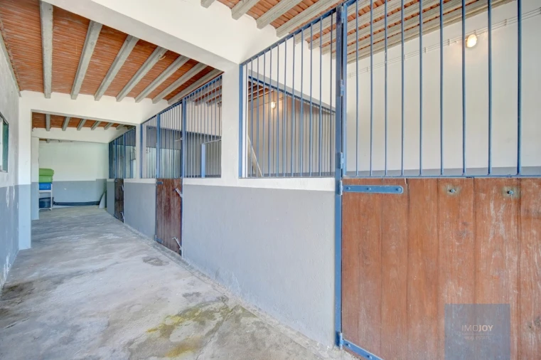 Quinta T4 para Venda em Coruche, Fajarda e Erra Foto 34