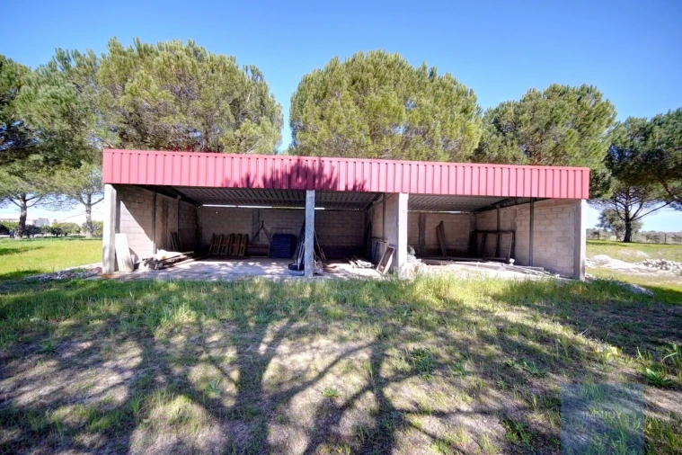 Quinta T4 para Venda em Coruche, Fajarda e Erra Foto 37