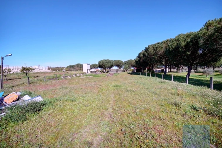 Quinta T4 para Venda em Coruche, Fajarda e Erra Foto 44