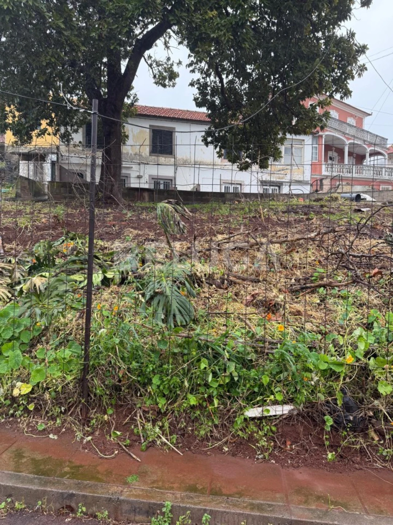 Moradia T2 para Venda em Santo Antonio Foto 1