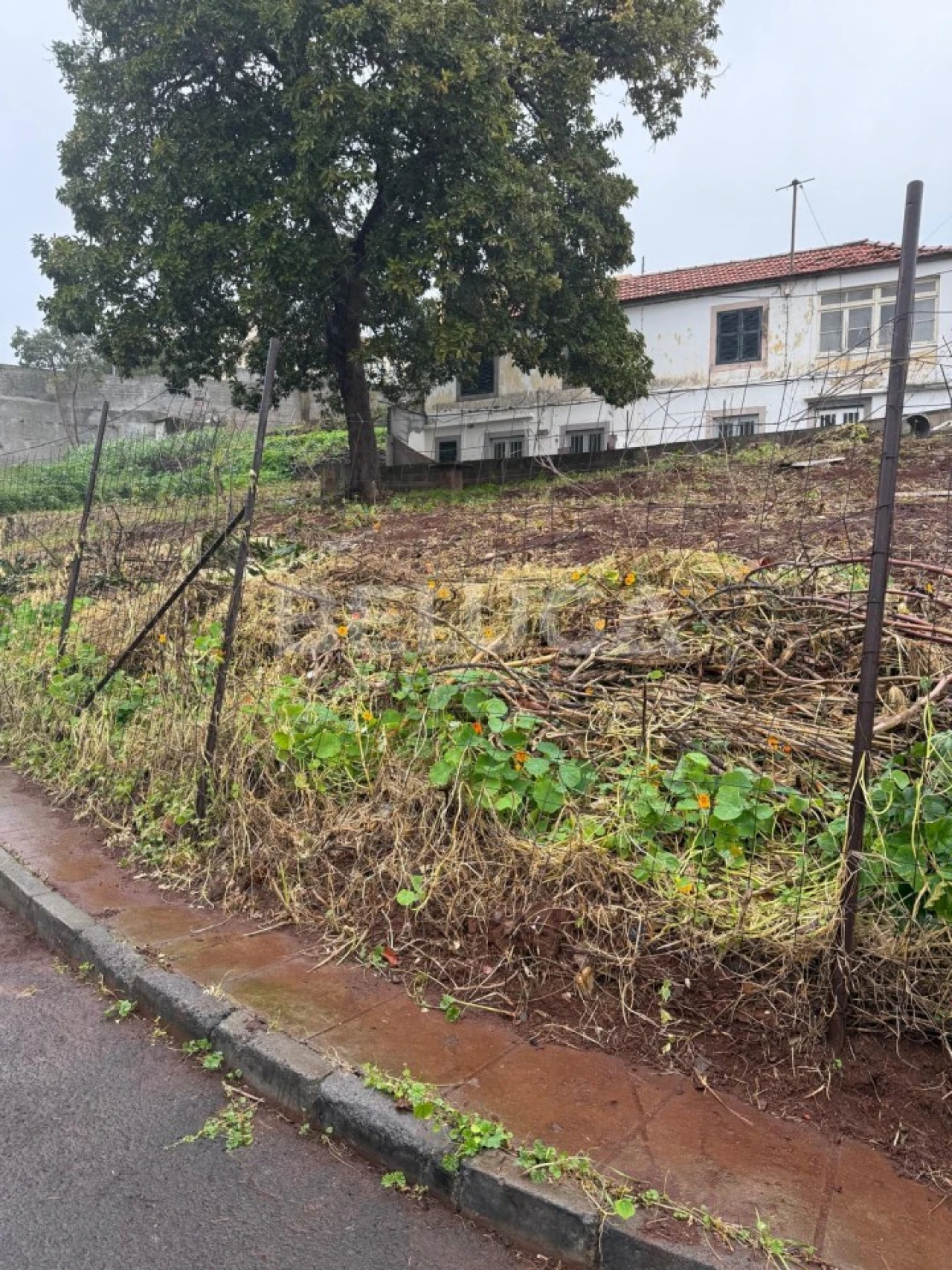 Moradia T2 para Venda em Santo Antonio Foto 2