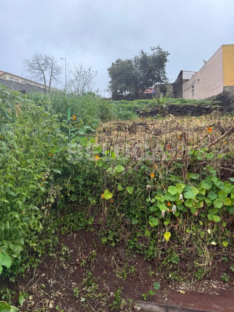 Moradia T2 para Venda em Santo Antonio Foto 13