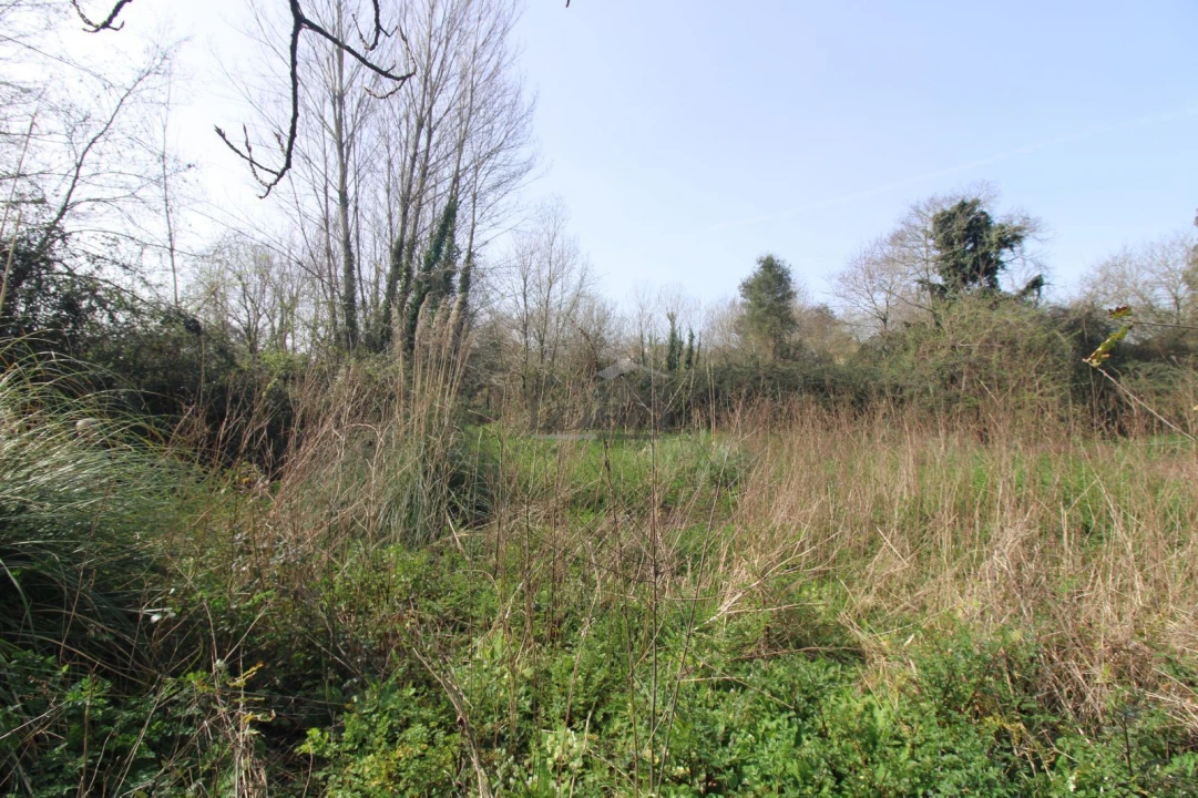 Terreno Agricola ou Rústico para Venda em Sandim, Olival, Lever e Crestuma Foto 5