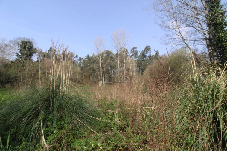Terreno Agricola ou Rústico para Venda em Sandim, Olival, Lever e Crestuma Foto 3