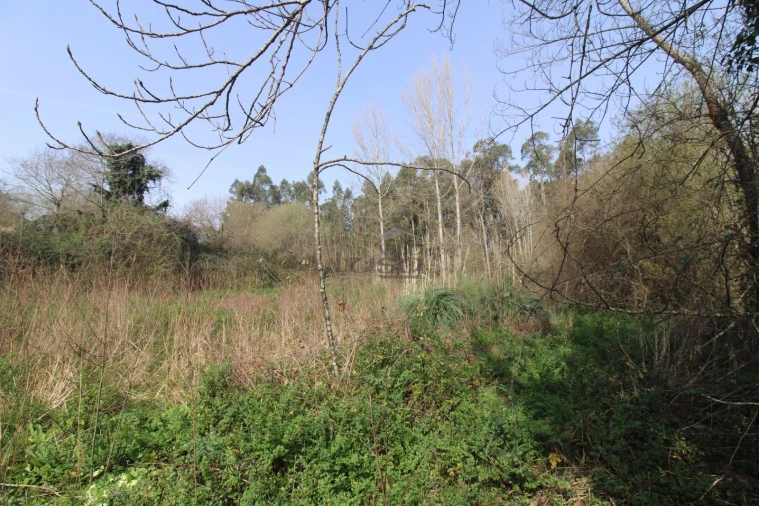 Terreno Agricola ou Rústico para Venda em Sandim, Olival, Lever e Crestuma Foto 4