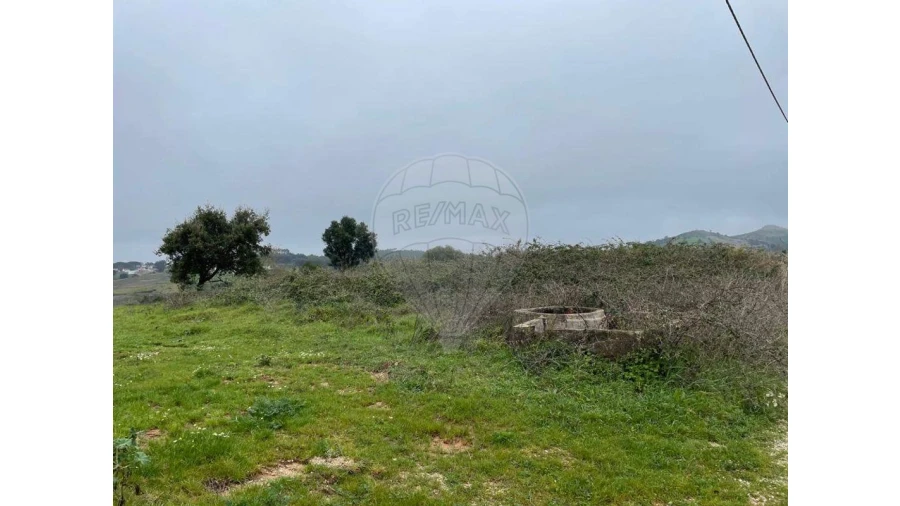 Terreno para Venda em Olhalvo Foto 2