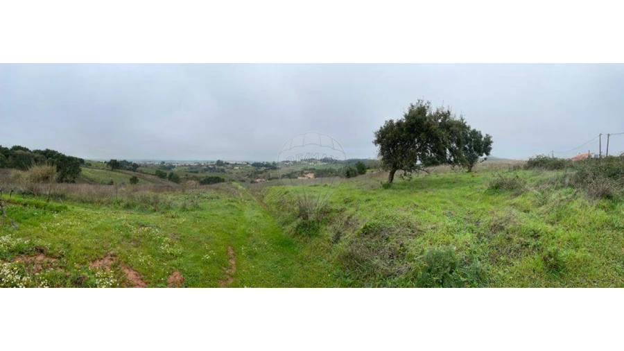 Terreno para Venda em Olhalvo