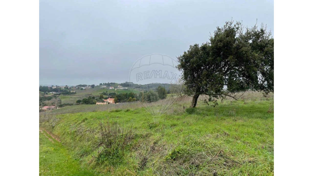 Terreno para Venda em Olhalvo Foto 4