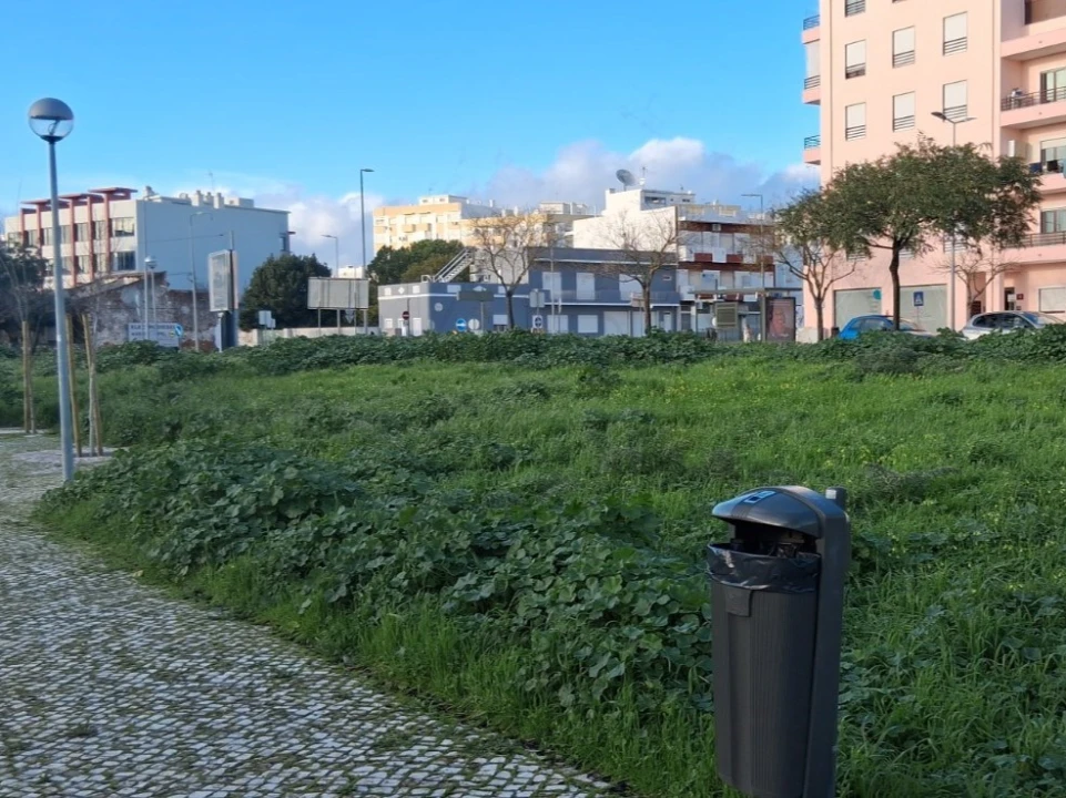 Terreno para Venda em Loule (São Clemente) Foto 6