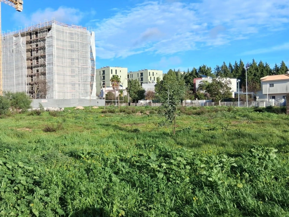 Terreno Comércio / Armazém para Venda em Loule (São Clemente) Foto 6