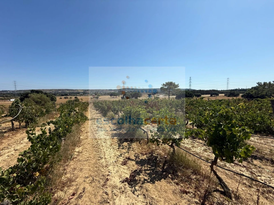 Quinta T2 para Venda em Quinta do Anjo Foto 40