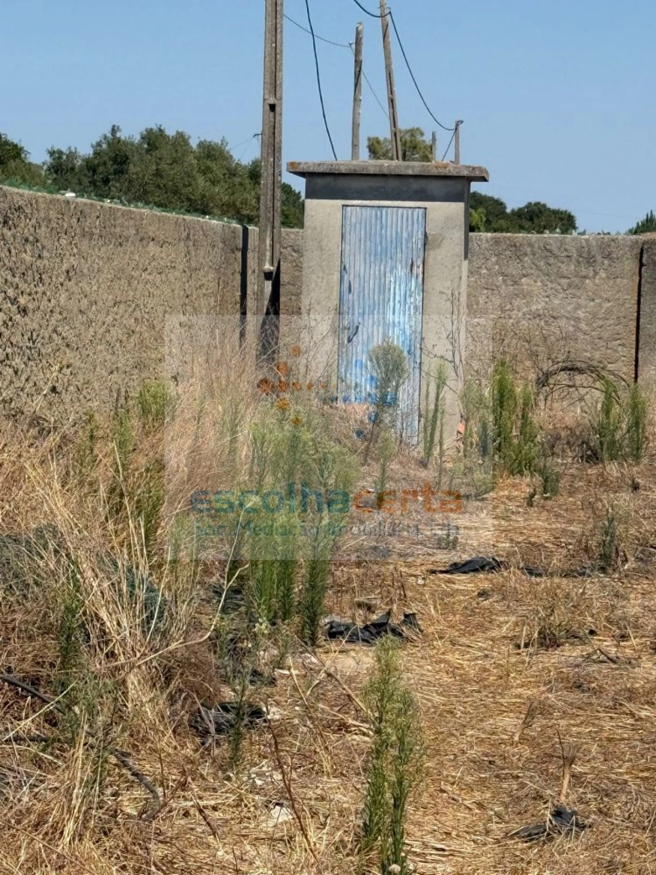 Quinta T2 para Venda em Quinta do Anjo Foto 28