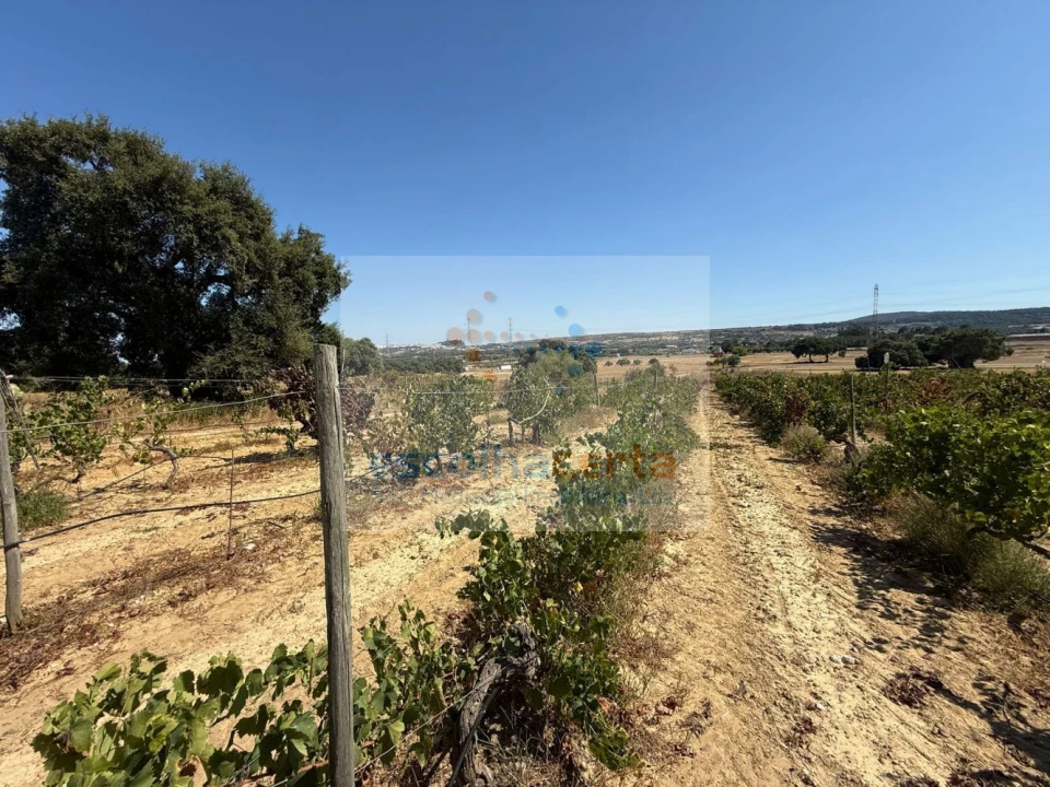 Quinta T2 para Venda em Quinta do Anjo Foto 33