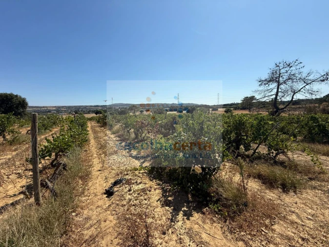 Quinta T2 para Venda em Quinta do Anjo Foto 36