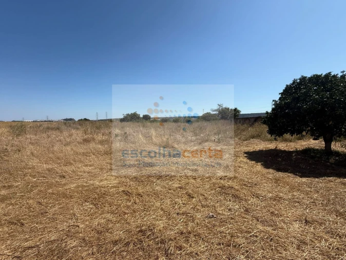 Quinta T2 para Venda em Quinta do Anjo Foto 34