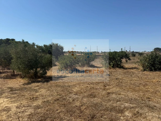 Quinta T2 para Venda em Quinta do Anjo Foto 35